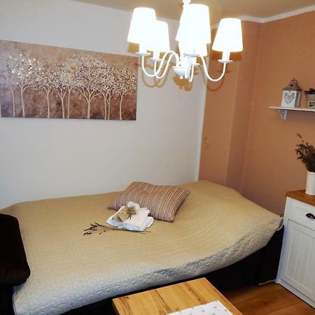 Studio Apartman Tvrtko Βαράζντιν Εξωτερικό φωτογραφία