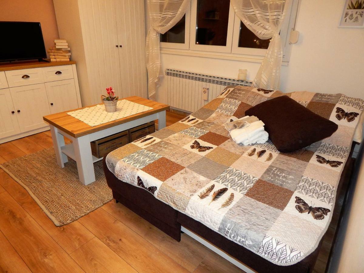 Studio Apartman Tvrtko Βαράζντιν Εξωτερικό φωτογραφία