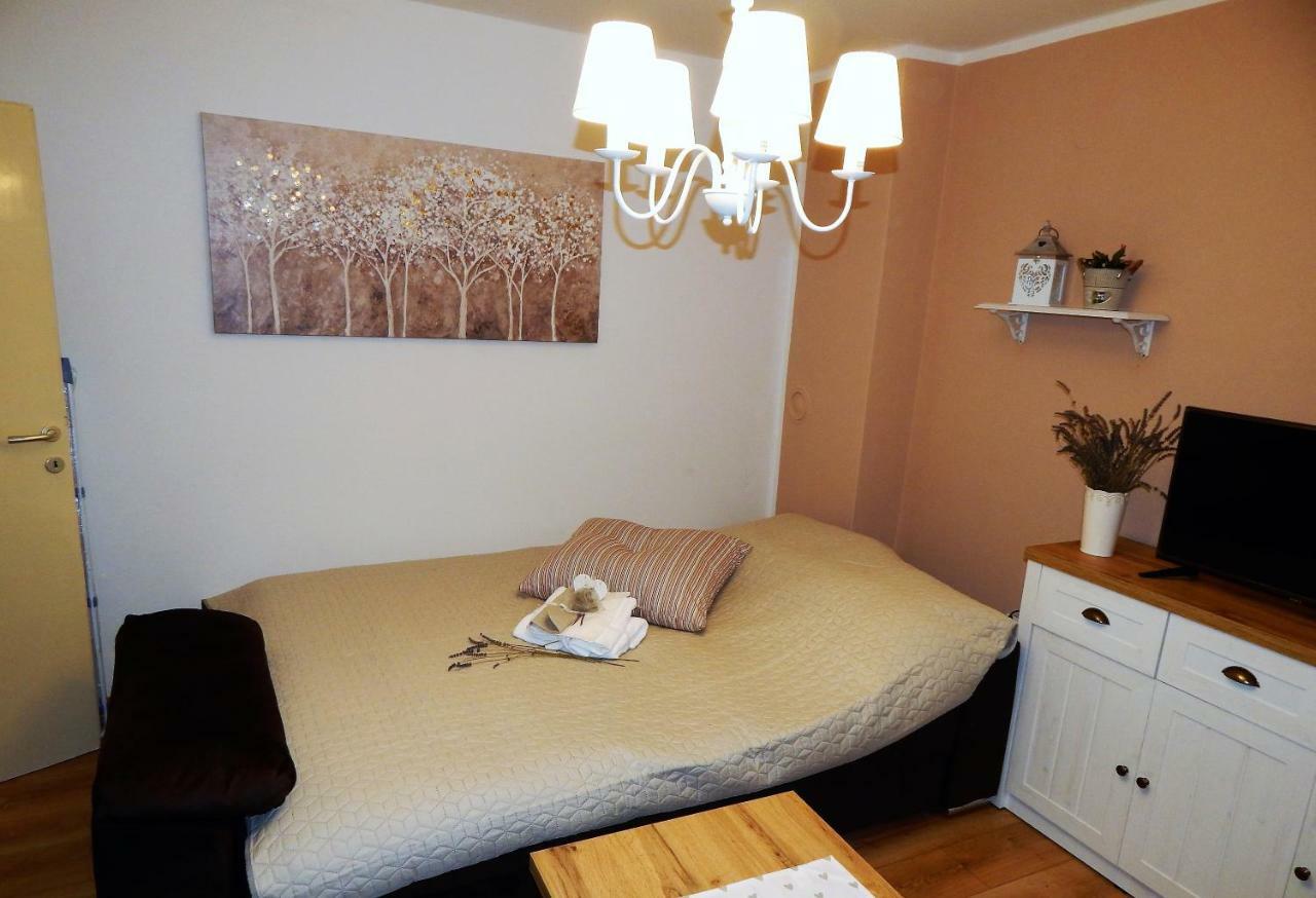 Studio Apartman Tvrtko Βαράζντιν Εξωτερικό φωτογραφία