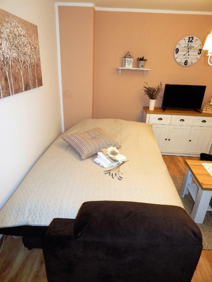 Studio Apartman Tvrtko Βαράζντιν Εξωτερικό φωτογραφία